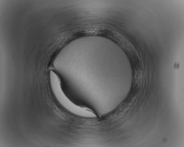 X0000097760601200803281635