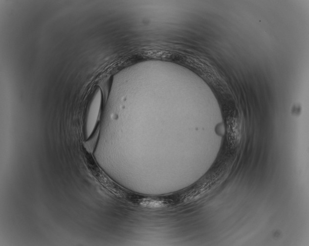 X0000097760602200803281635