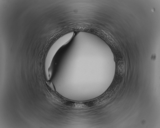 X0000097760605200803281635