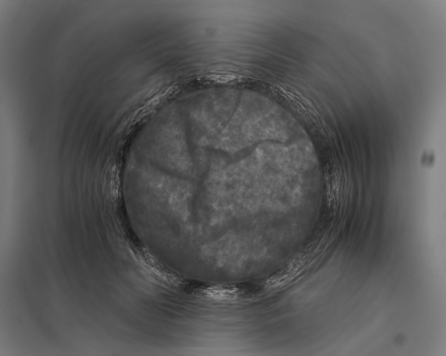 X0000097760606200803281635