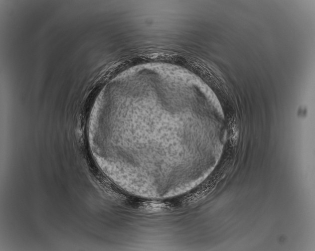 X0000097760607200803281635