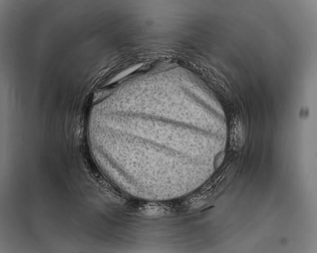 X0000097760608200803281635