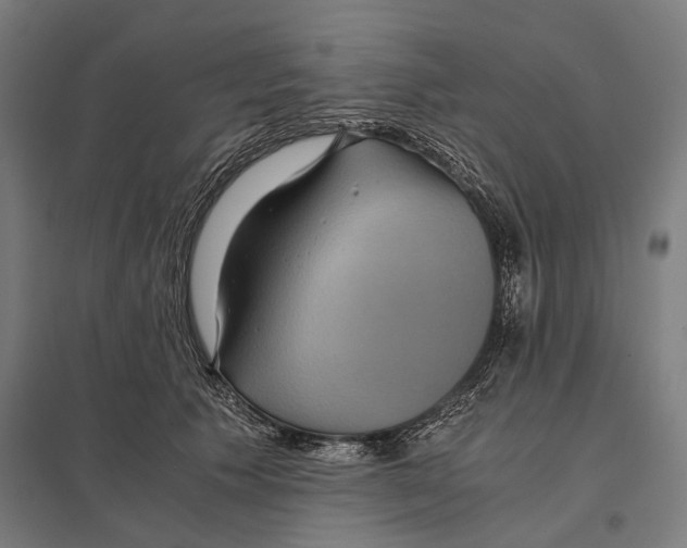 X0000097760609200803281635