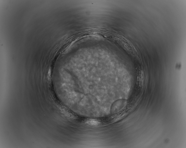 X0000097760610200803281635