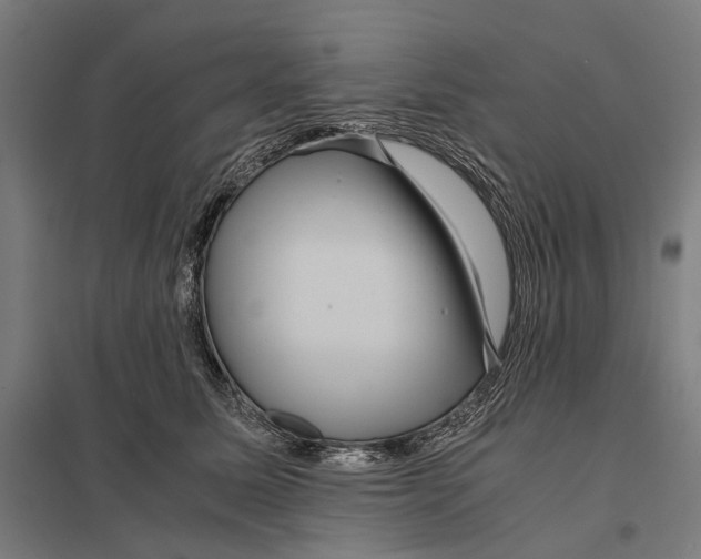 X0000097760611200803281635