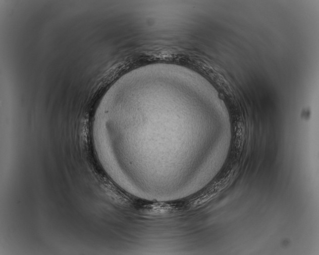 X0000097760612200803281635