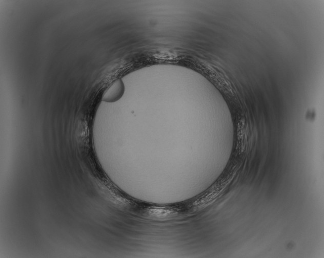 X0000097760614200803281635