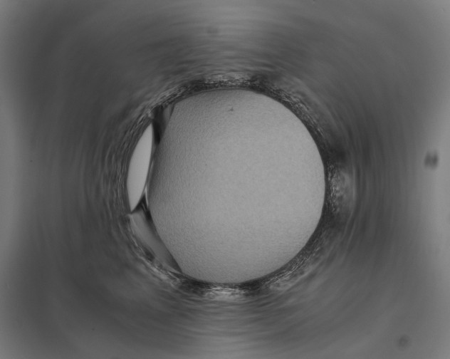 X0000097760617200803281635