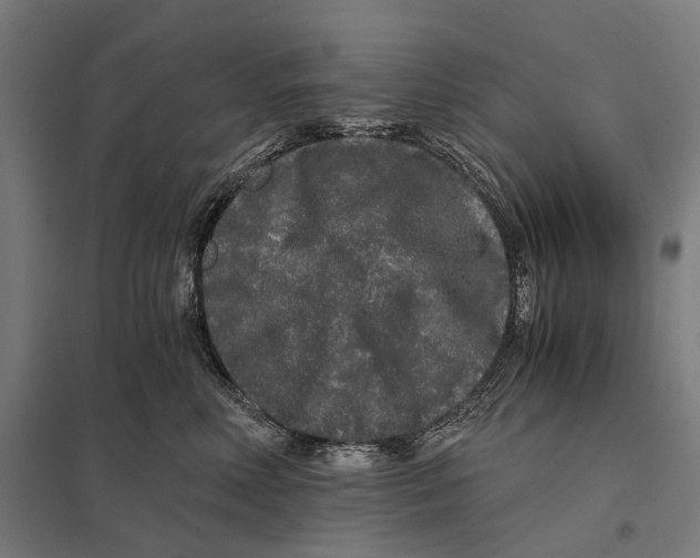 X0000097760618200803281635