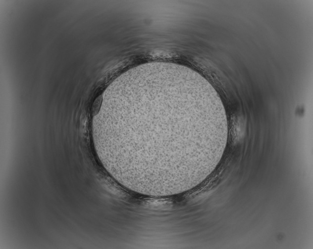 X0000097760619200803281635