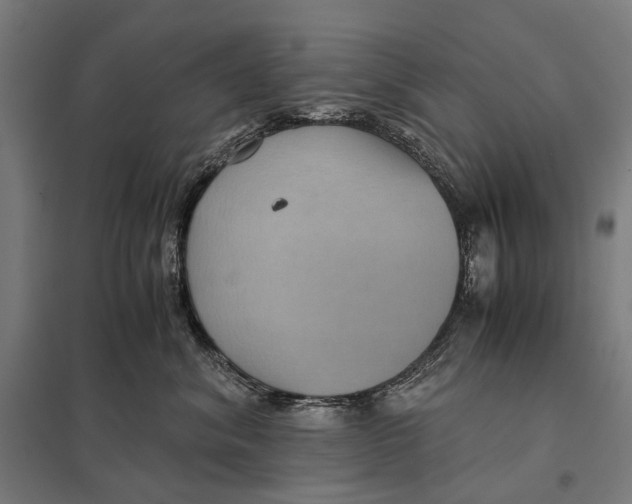 X0000097760620200803281635