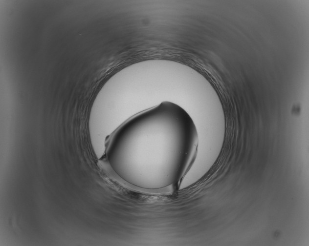 X0000097760621200803281635