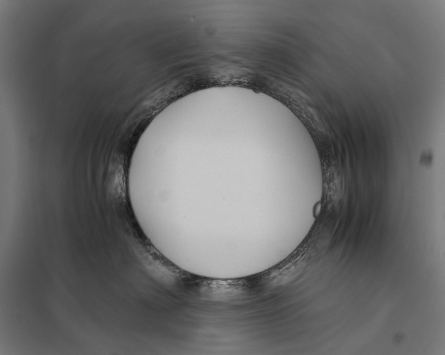 X0000097760622200803281635