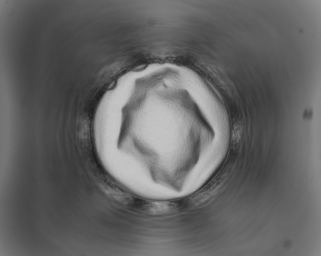 X0000097760623200803281635