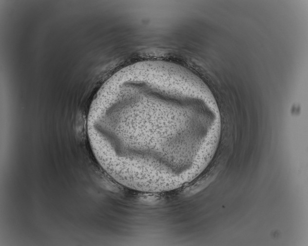 X0000097760624200803281635