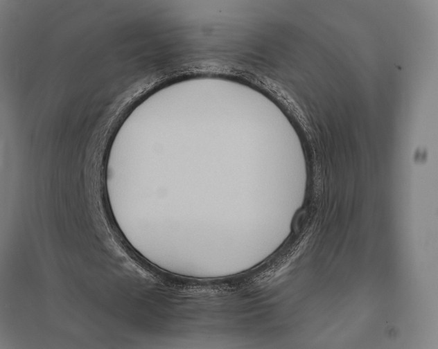 X0000097760625200803281634