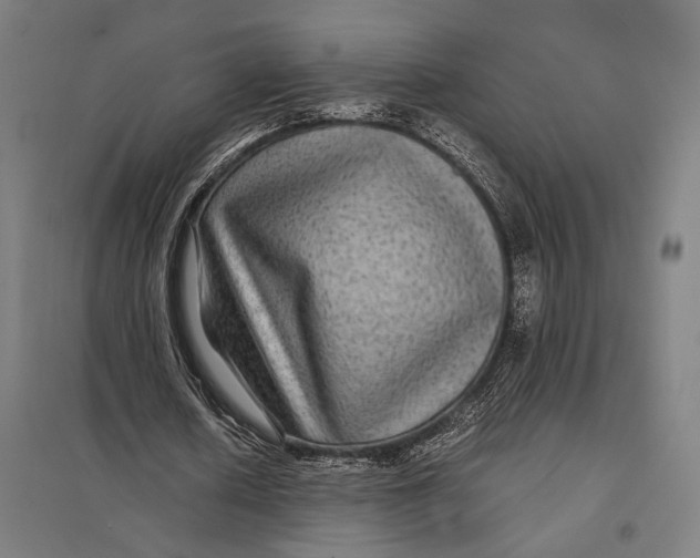 X0000097760626200803281634