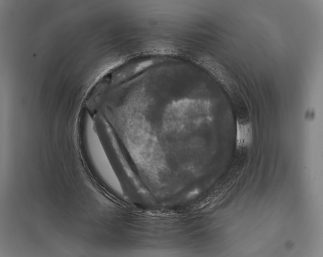 X0000097760627200803281634