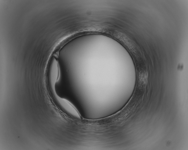 X0000097760628200803281634