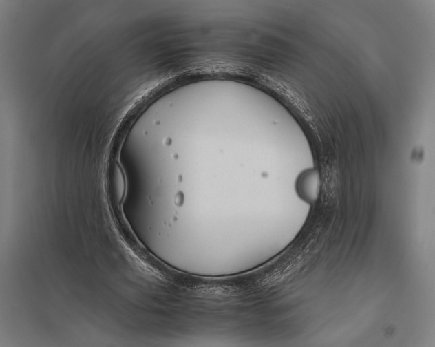 X0000097760629200803281634