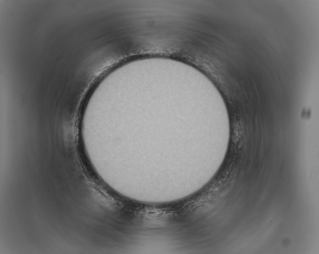 X0000097760632200803281635