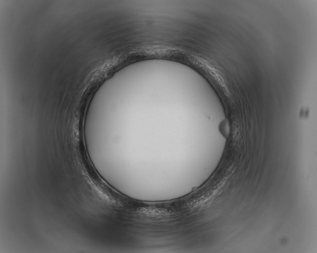 X0000097760633200803281635