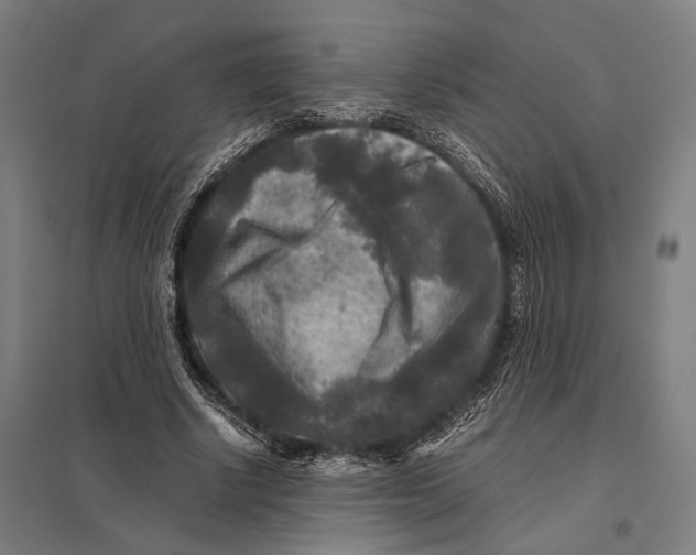 X0000097760634200803281635