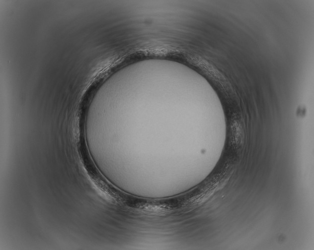 X0000097760638200803281635