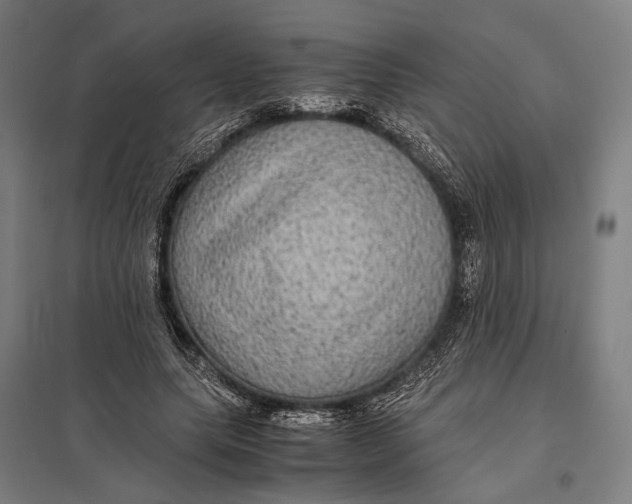 X0000097760639200803281635