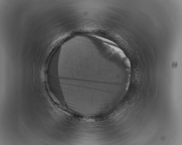 X0000097760640200803281635