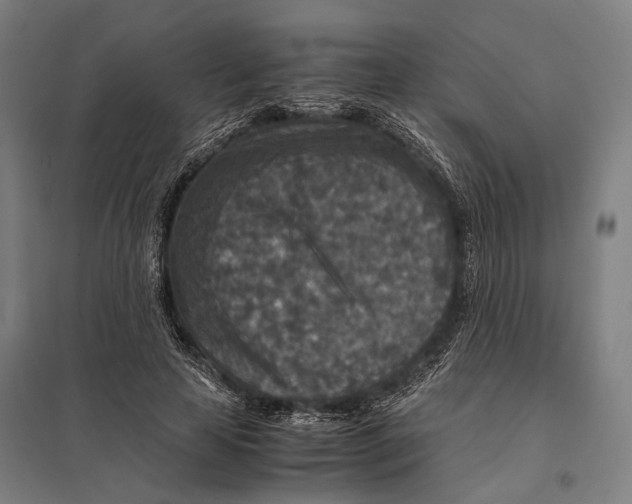 X0000097760641200803281635