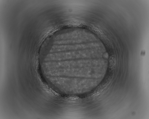 X0000097760642200803281635