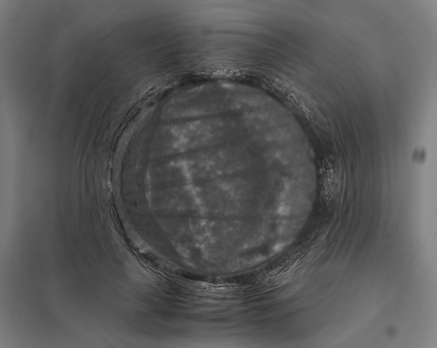 X0000097760643200803281635