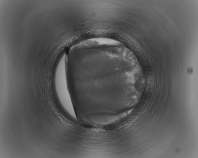 X0000097760644200803281635