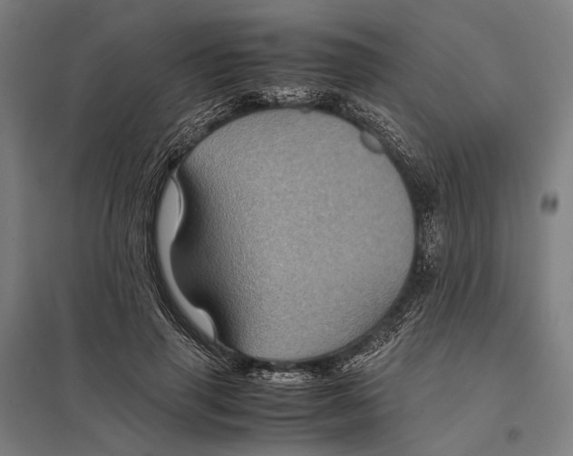 X0000097760645200803281635