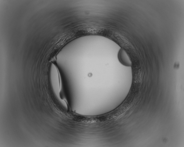 X0000097760646200803281635