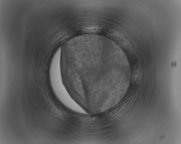 X0000097760647200803281635