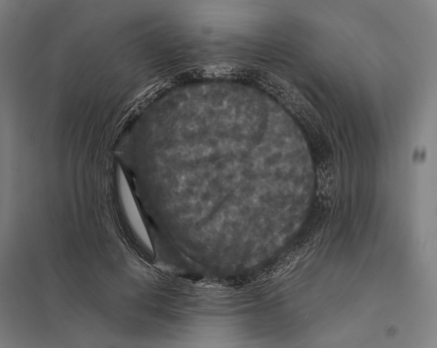 X0000097760648200803281635