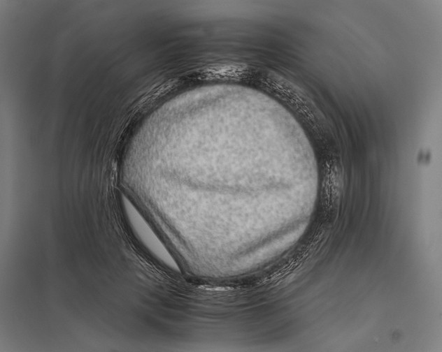 X0000097760649200803281635