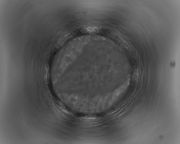 X0000097760651200803281635