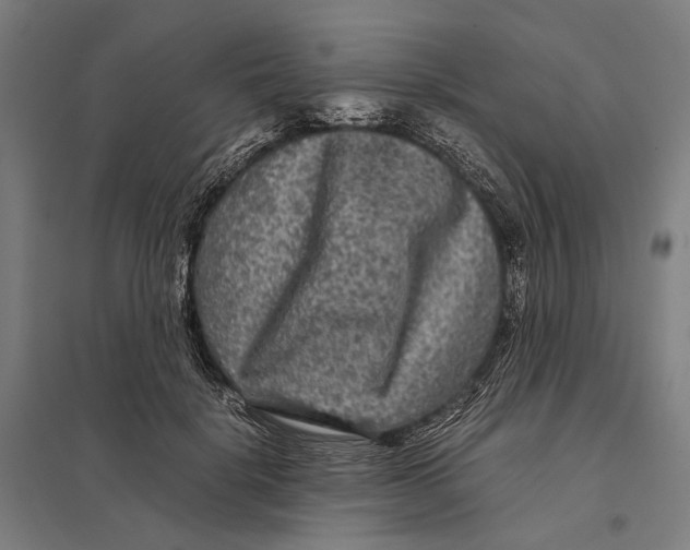 X0000097760652200803281635