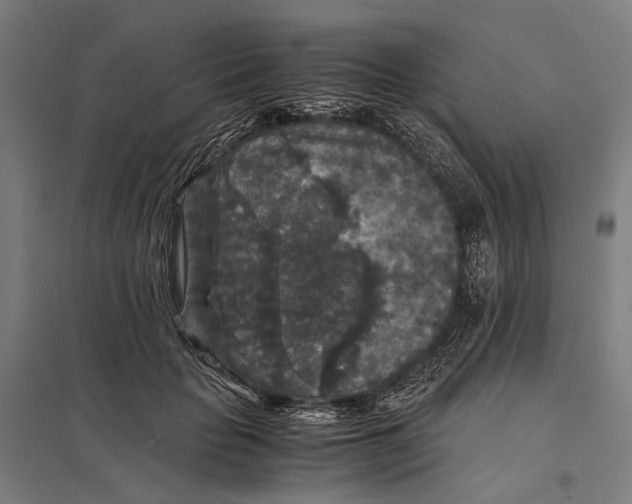 X0000097760653200803281635