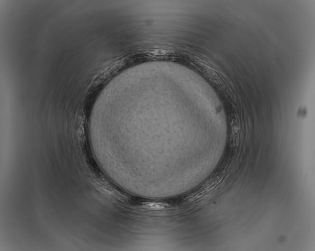 X0000097760654200803281635