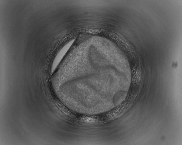 X0000097760655200803281635