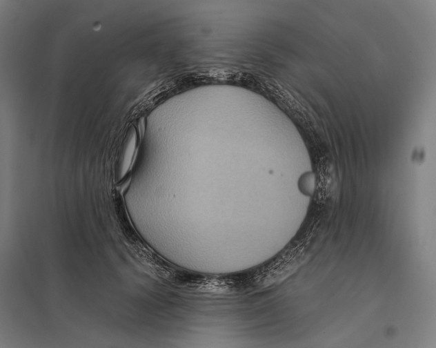 X0000097760656200803281635