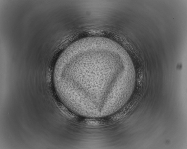 X0000097760658200803281635