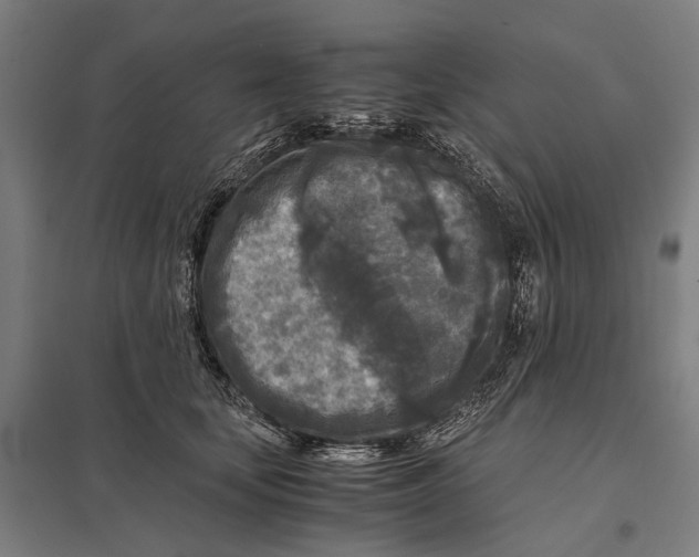 X0000097760659200803281635