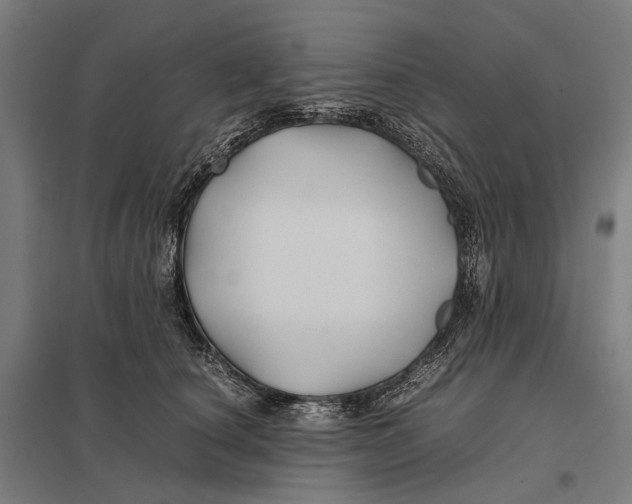 X0000097760660200803281635