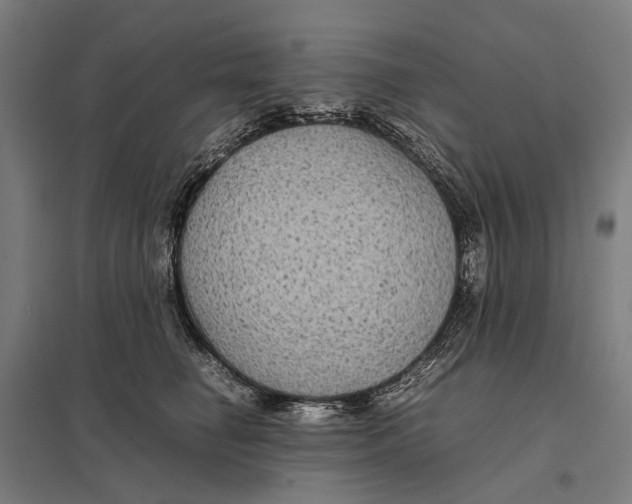 X0000097760662200803281635