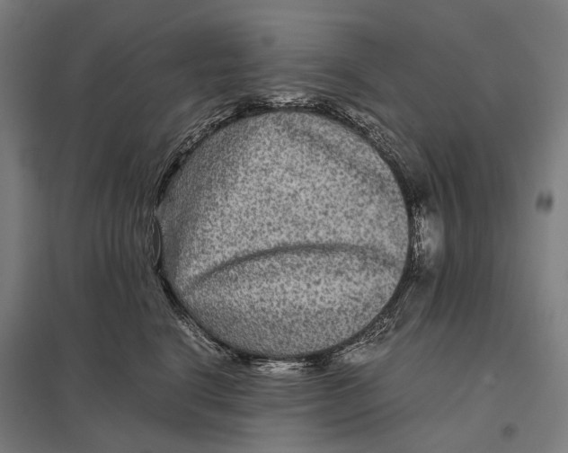 X0000097760664200803281635